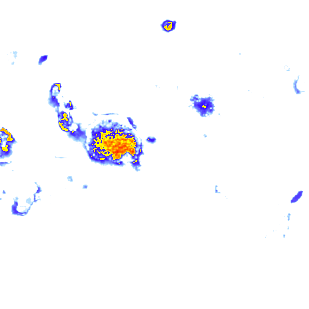 Image Layer