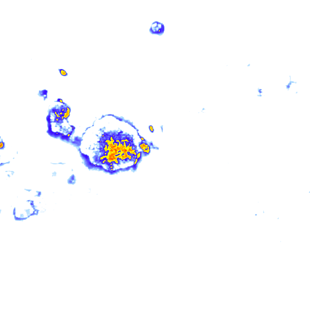 Image Layer