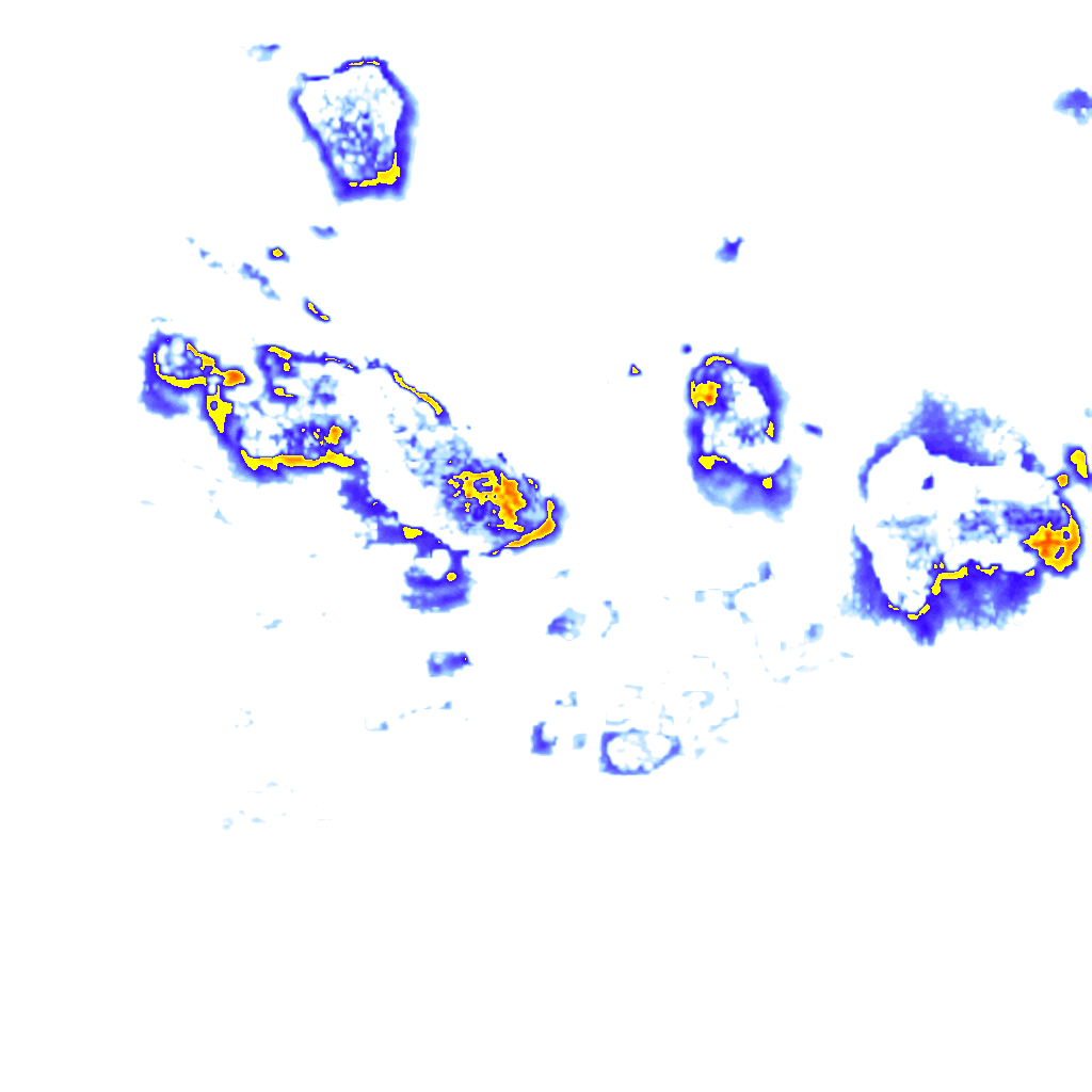 Image Layer