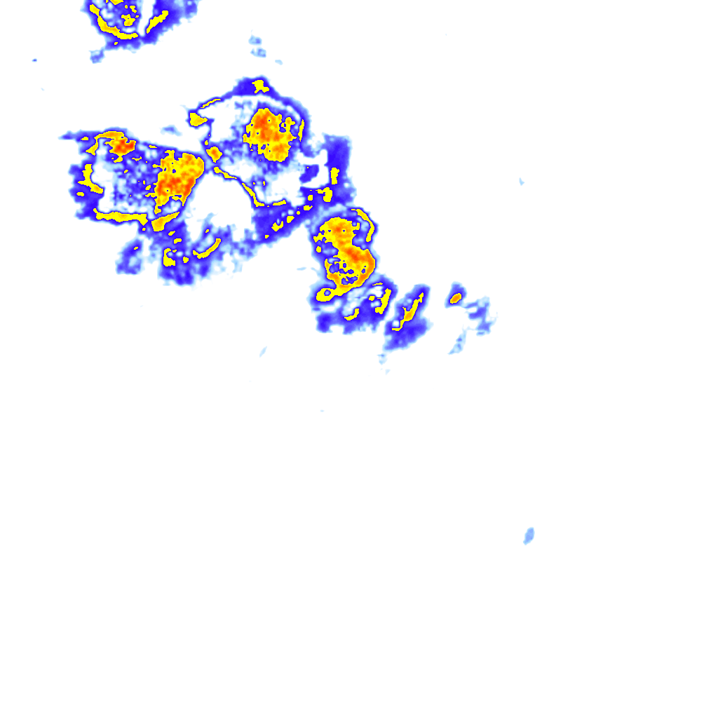 rainLayer