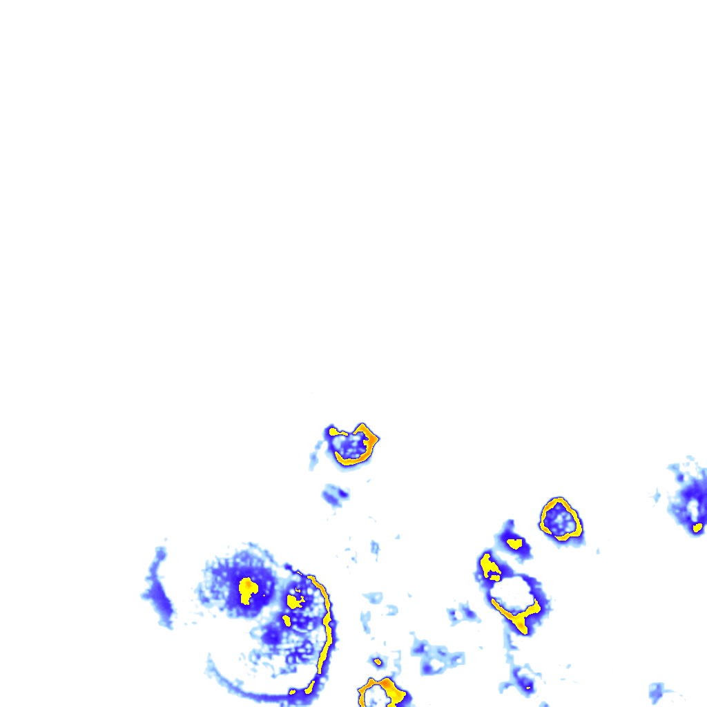 rainLayer