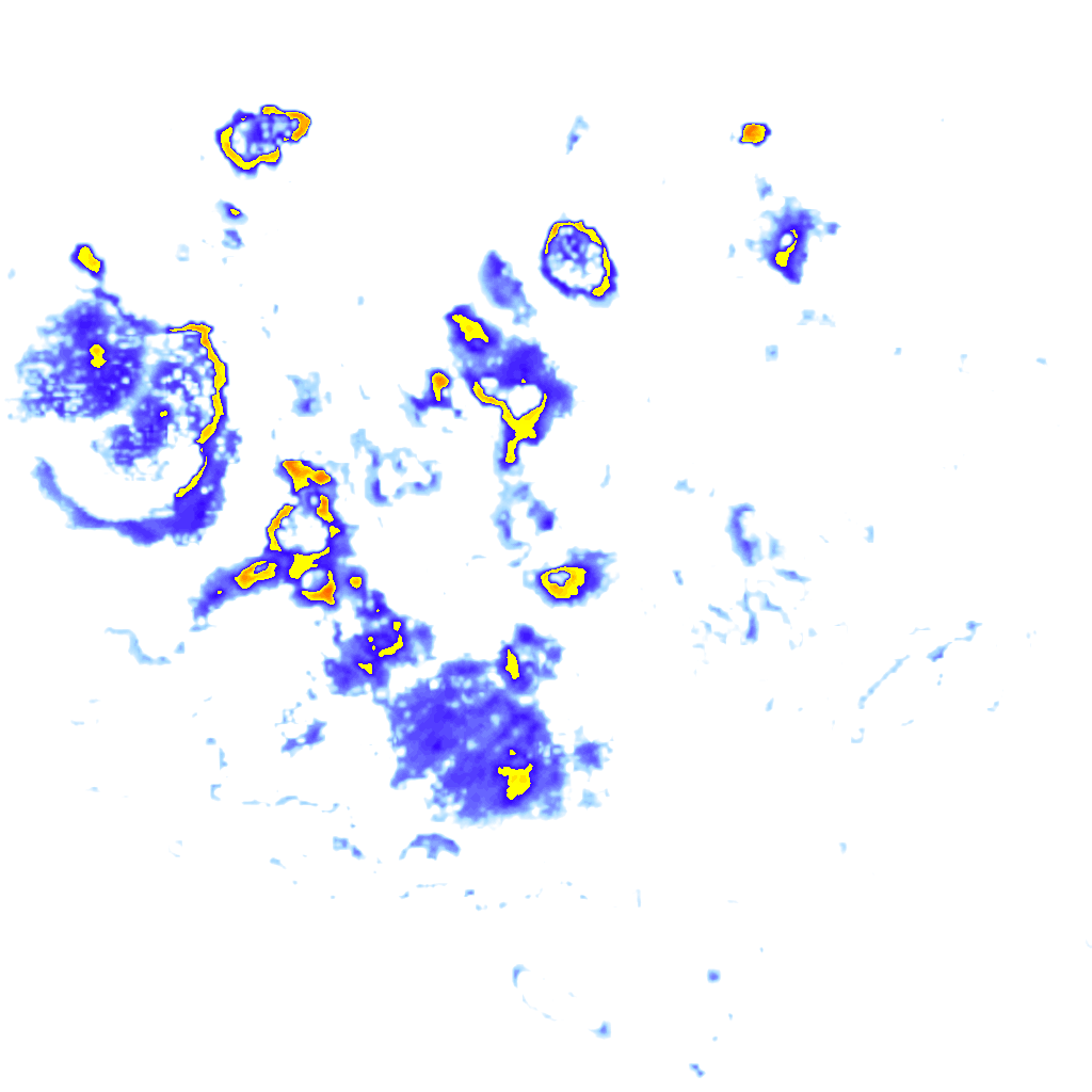 Image Layer