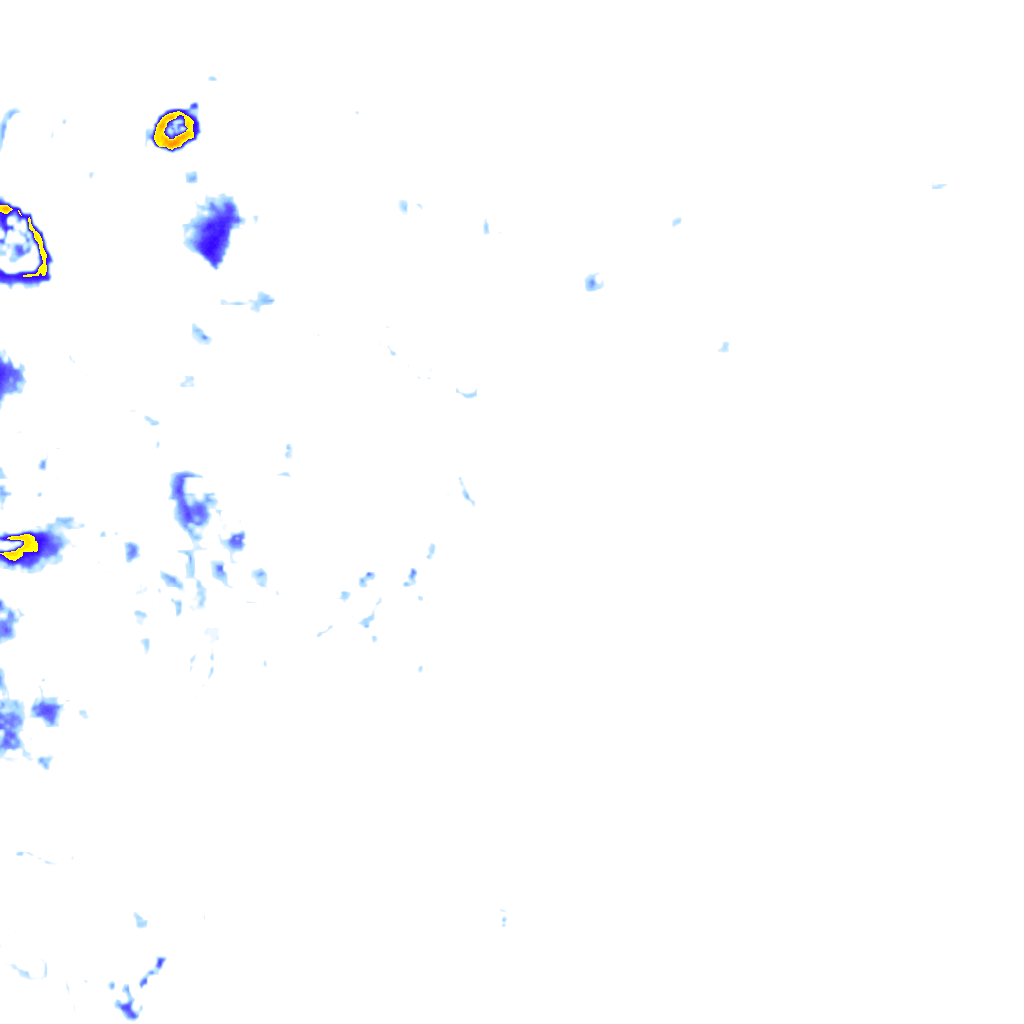 rainLayer