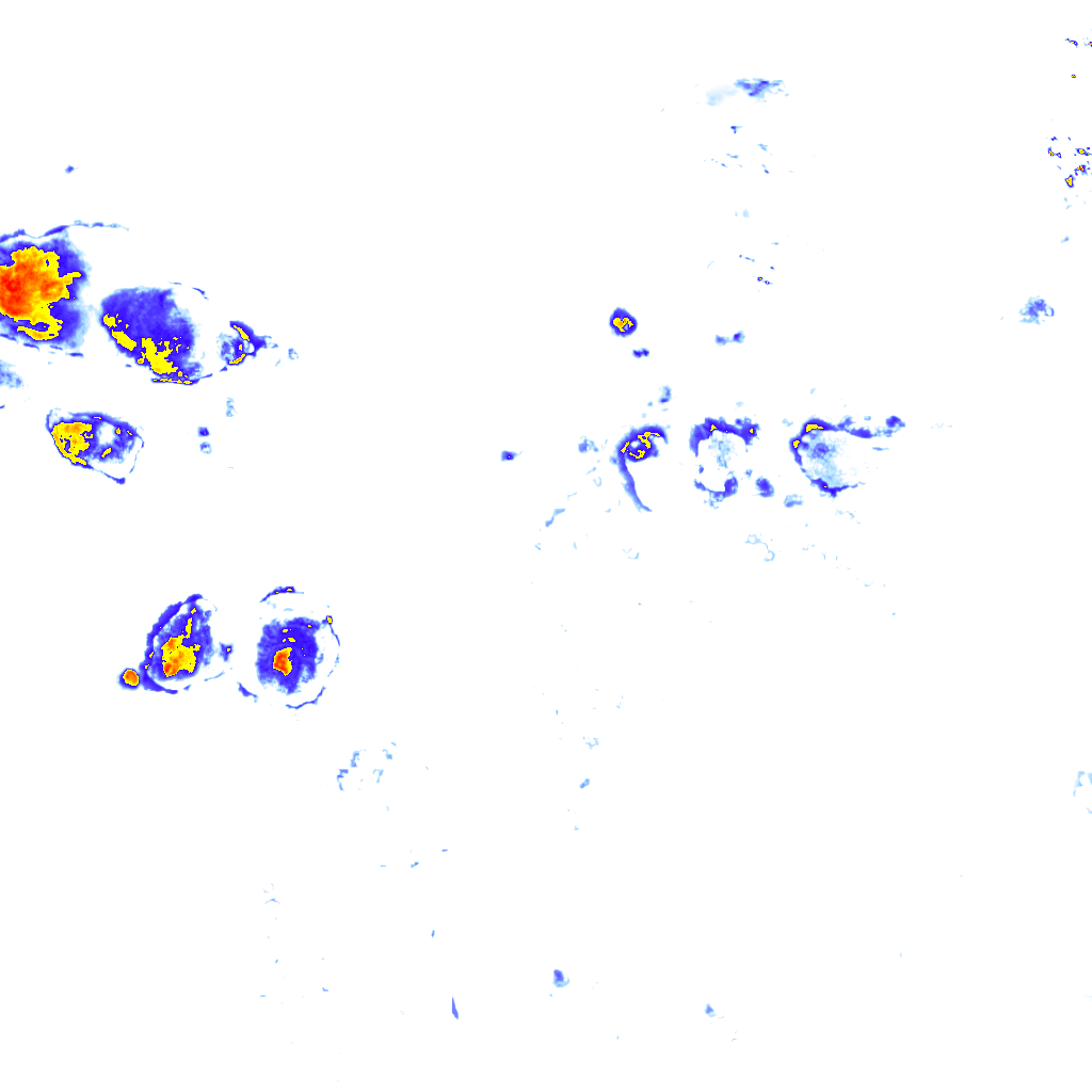 Image Layer