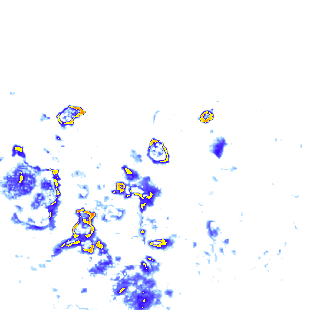 Image Layer