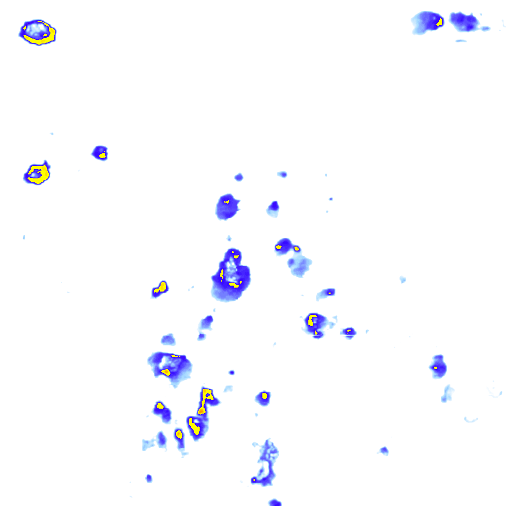 Image Layer