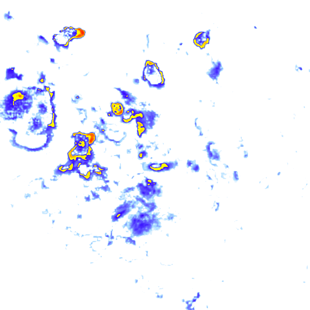 rainLayer