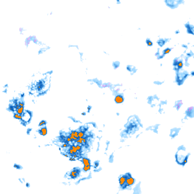 rain layer