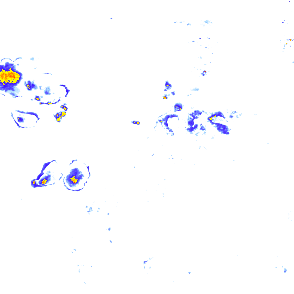 rainLayer