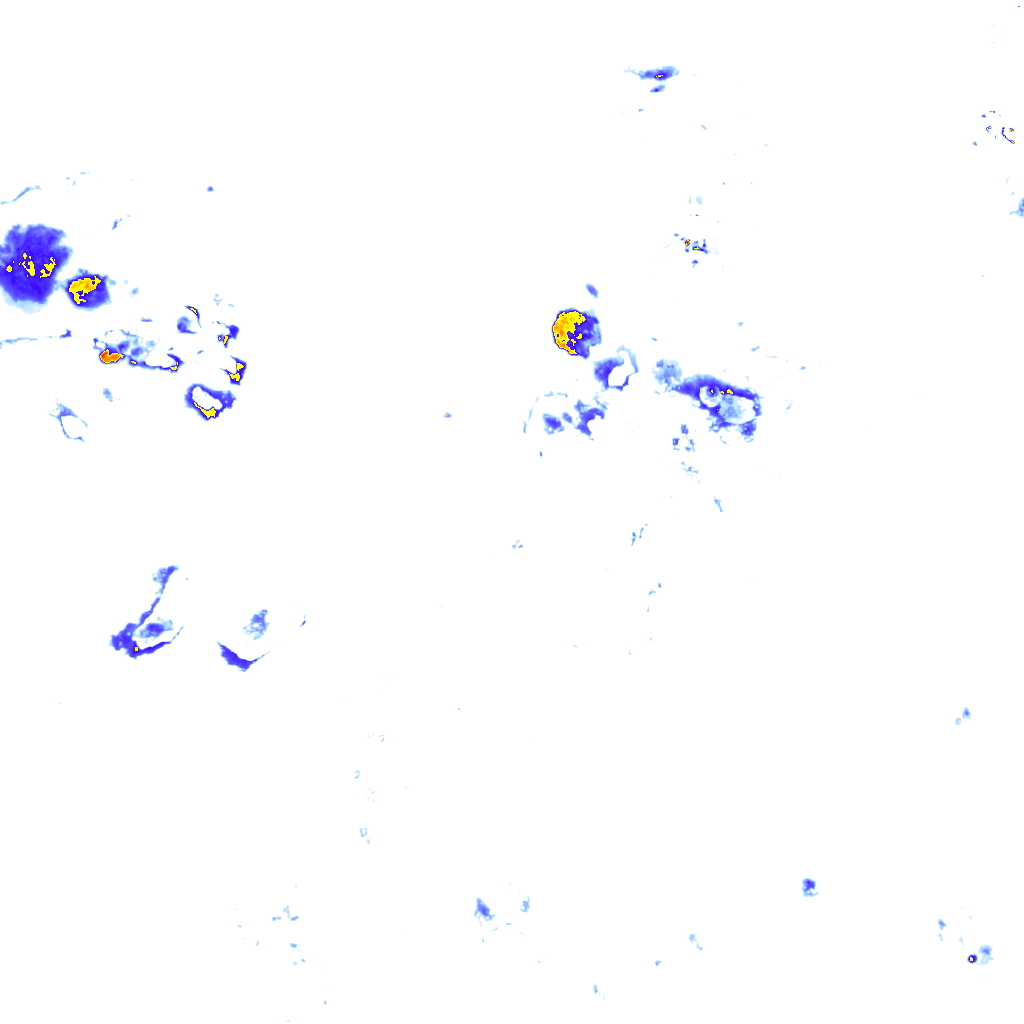 rainLayer