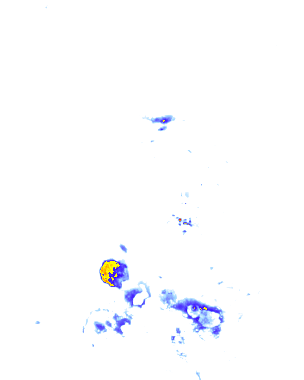 rainLayer