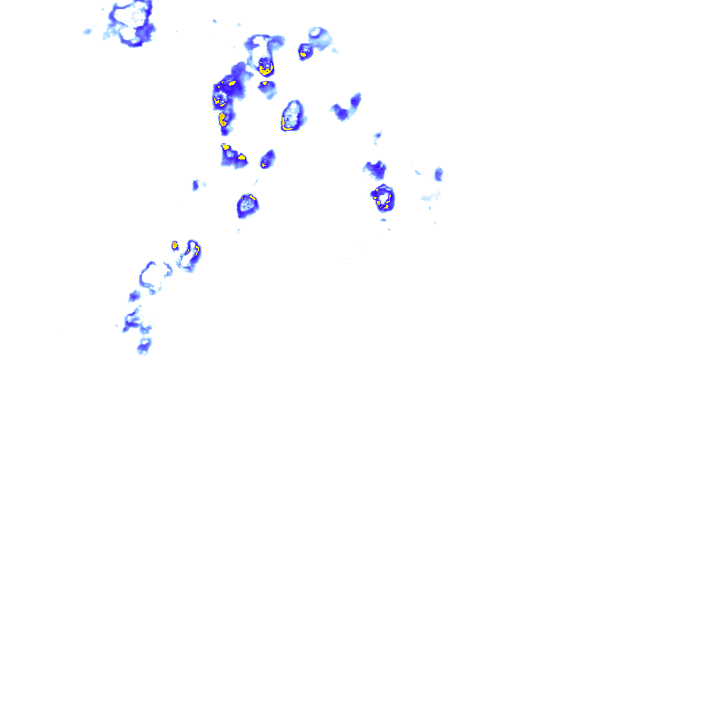 rainLayer