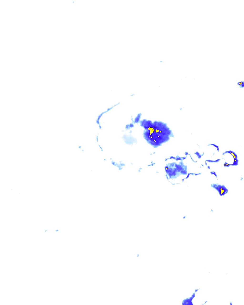 rainLayer