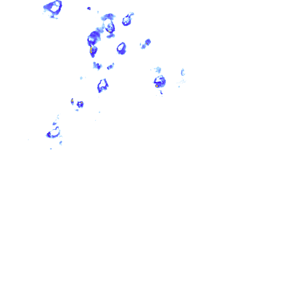 rainLayer