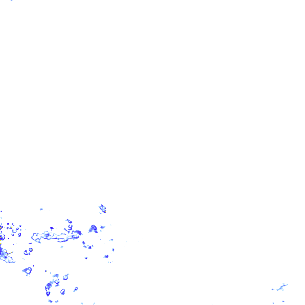 rainLayer