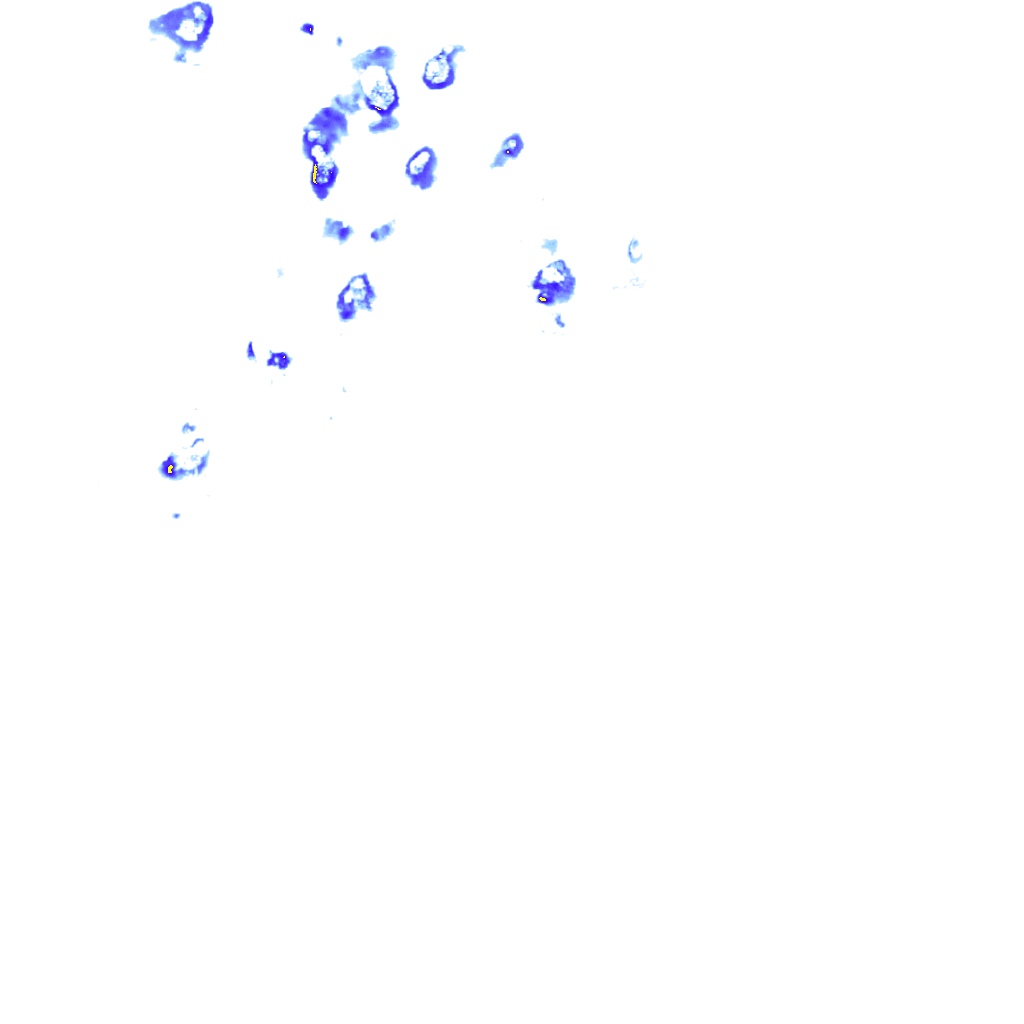 rainLayer