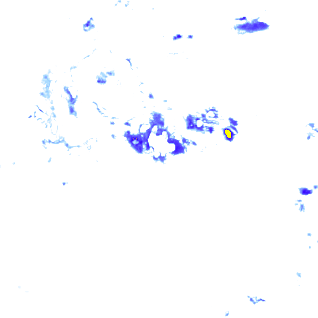 rainLayer