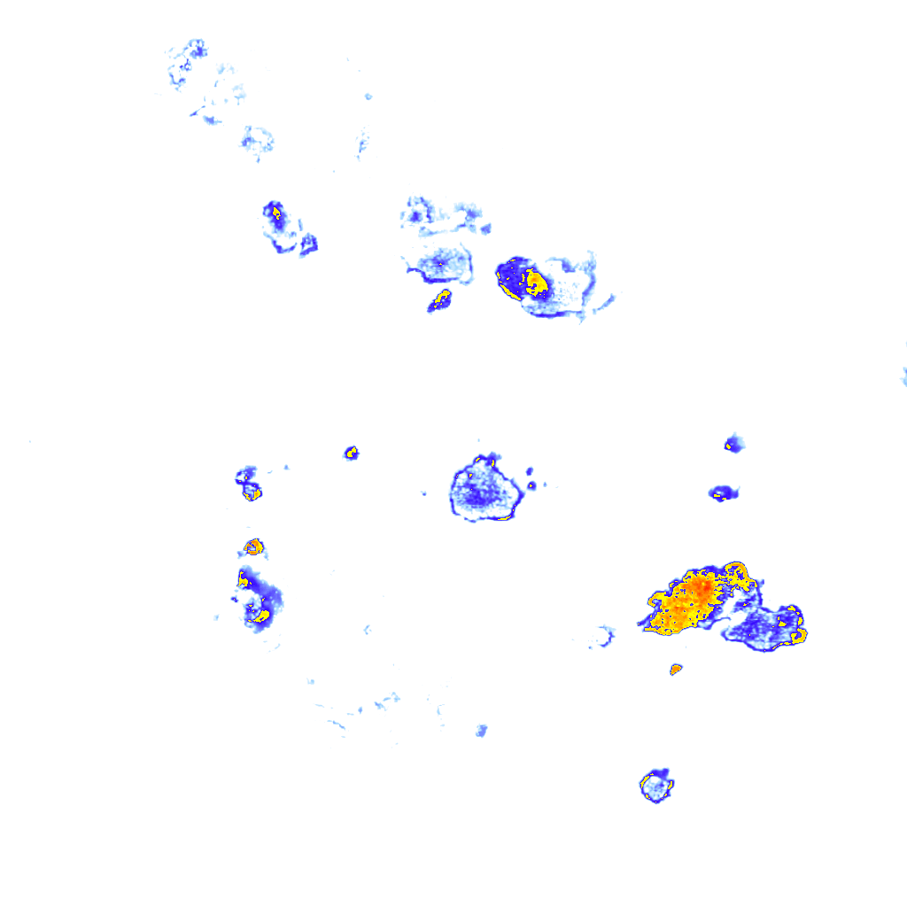 Image Layer
