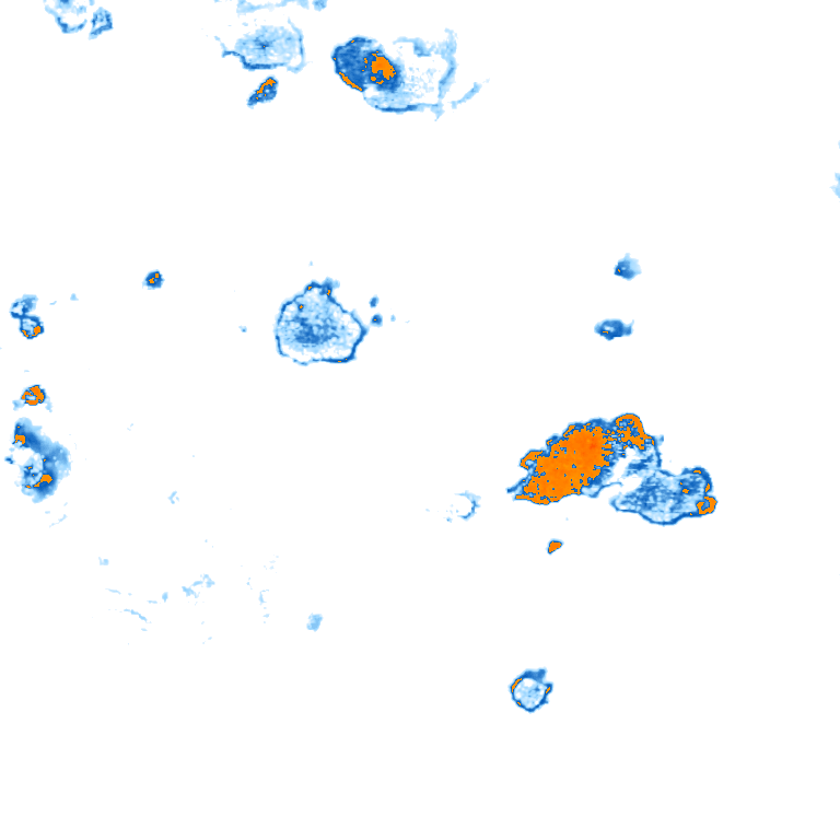 rain layer