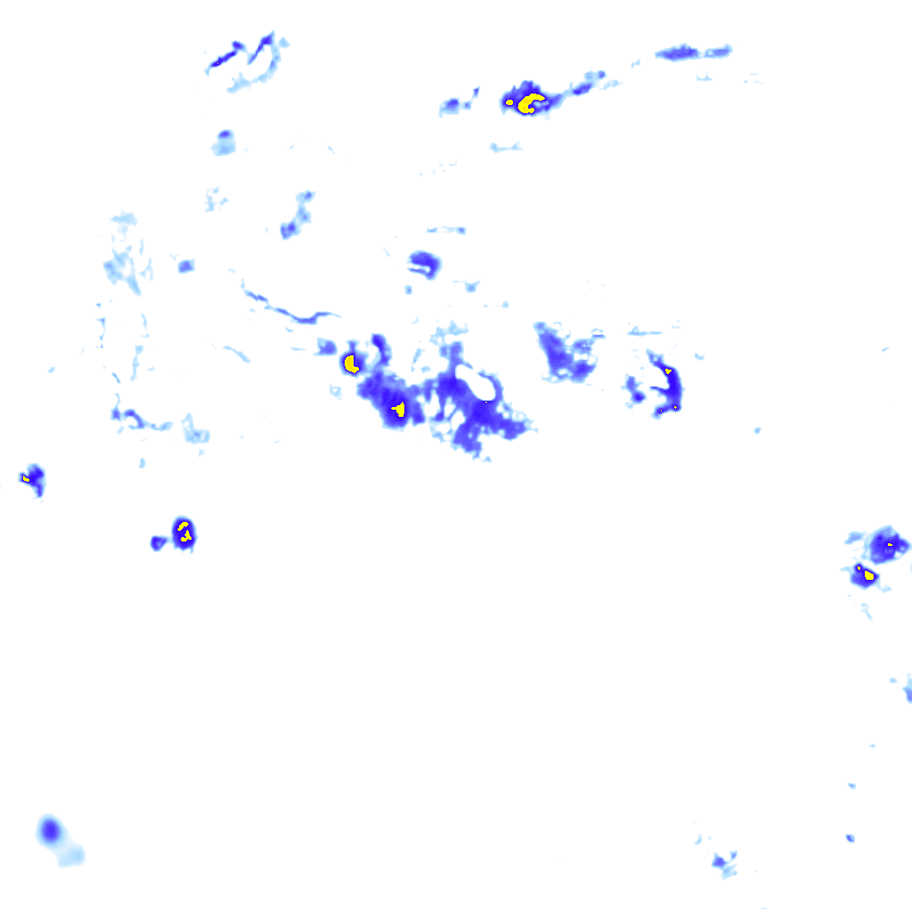 rainLayer