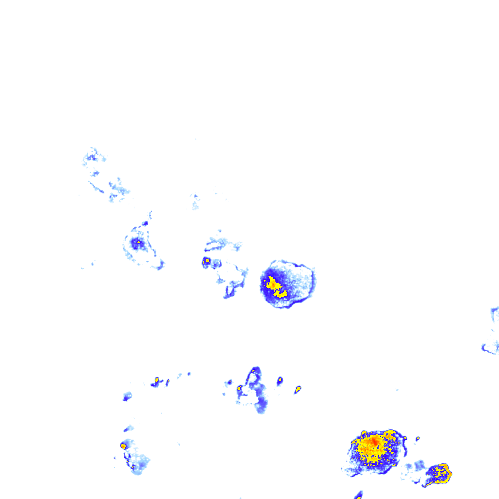 Image Layer