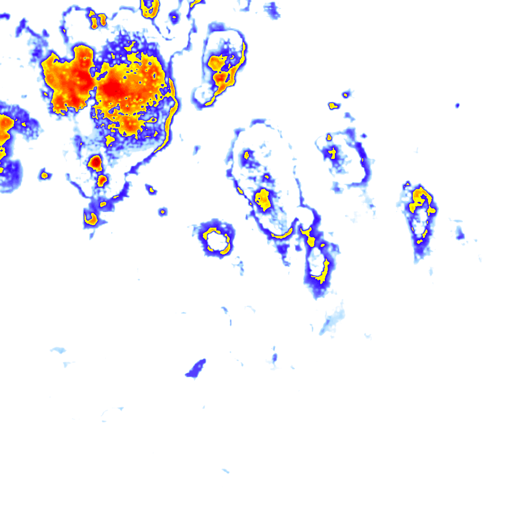 Image Layer