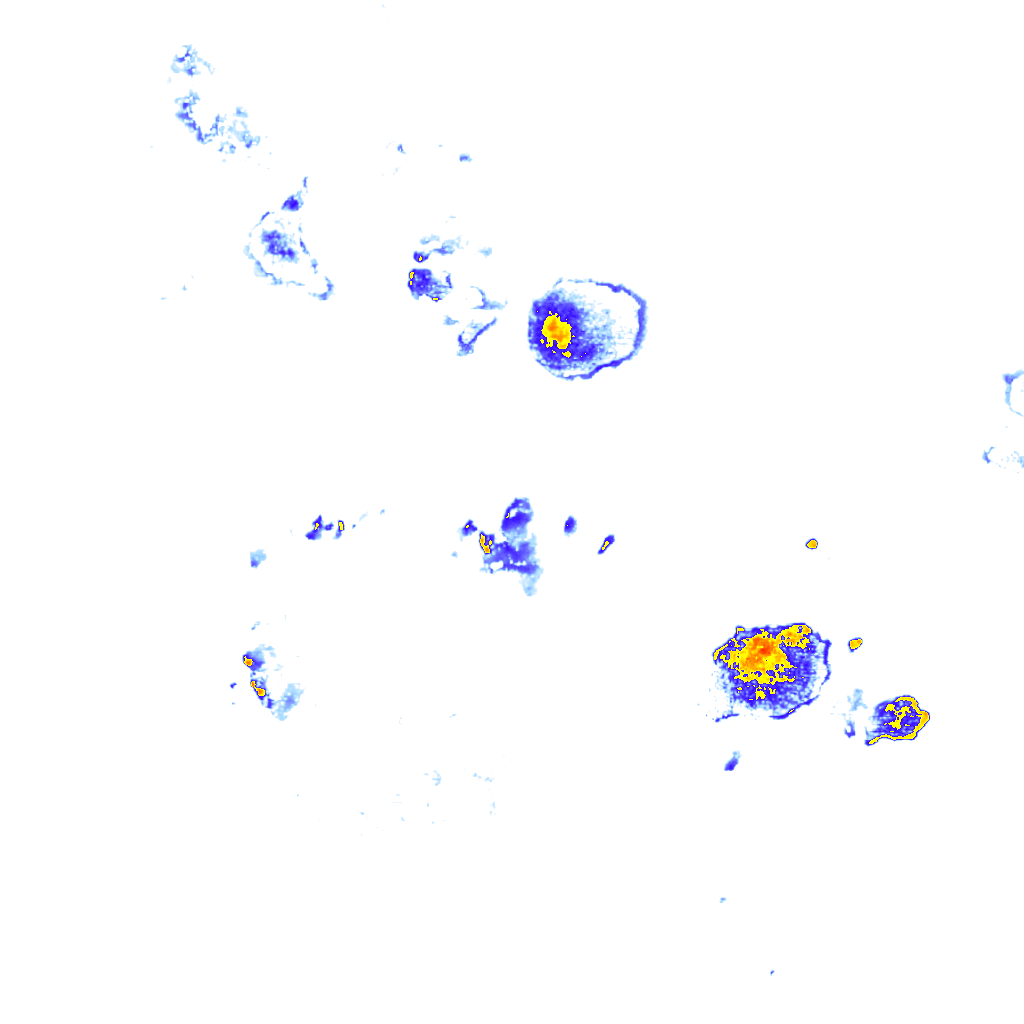 Image Layer