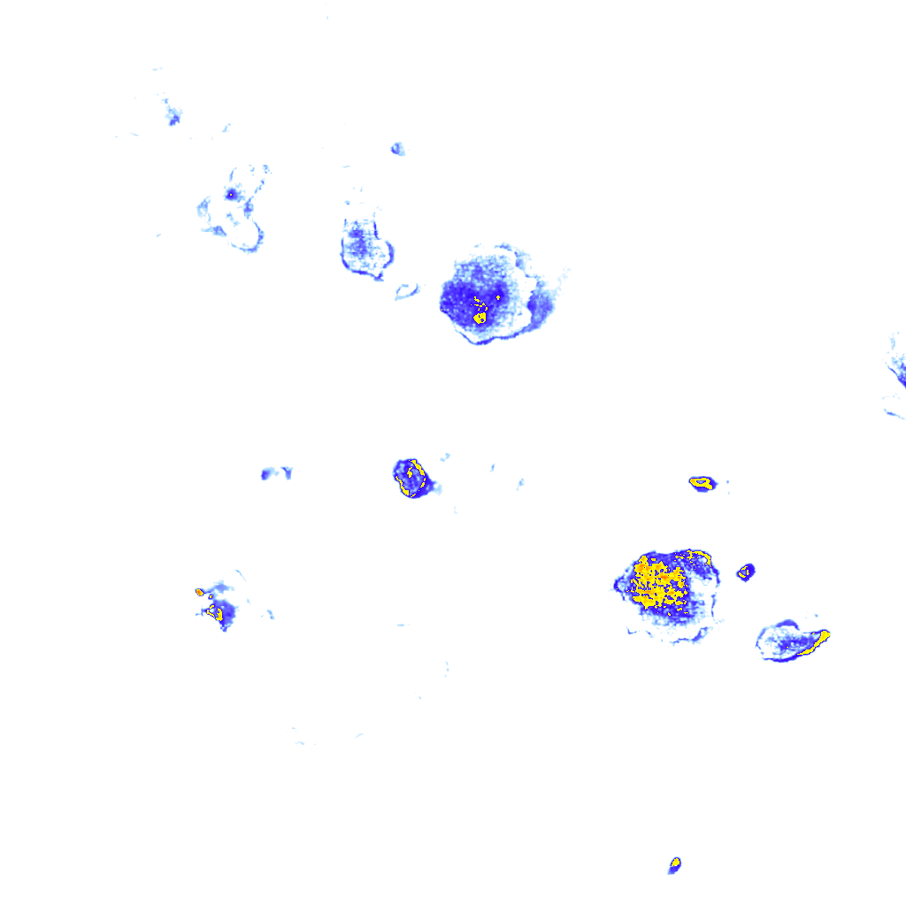 Image Layer