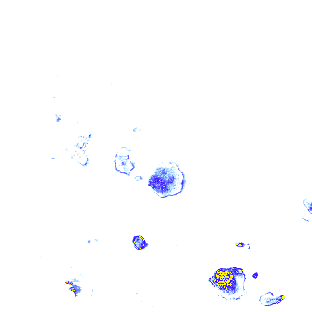 Image Layer