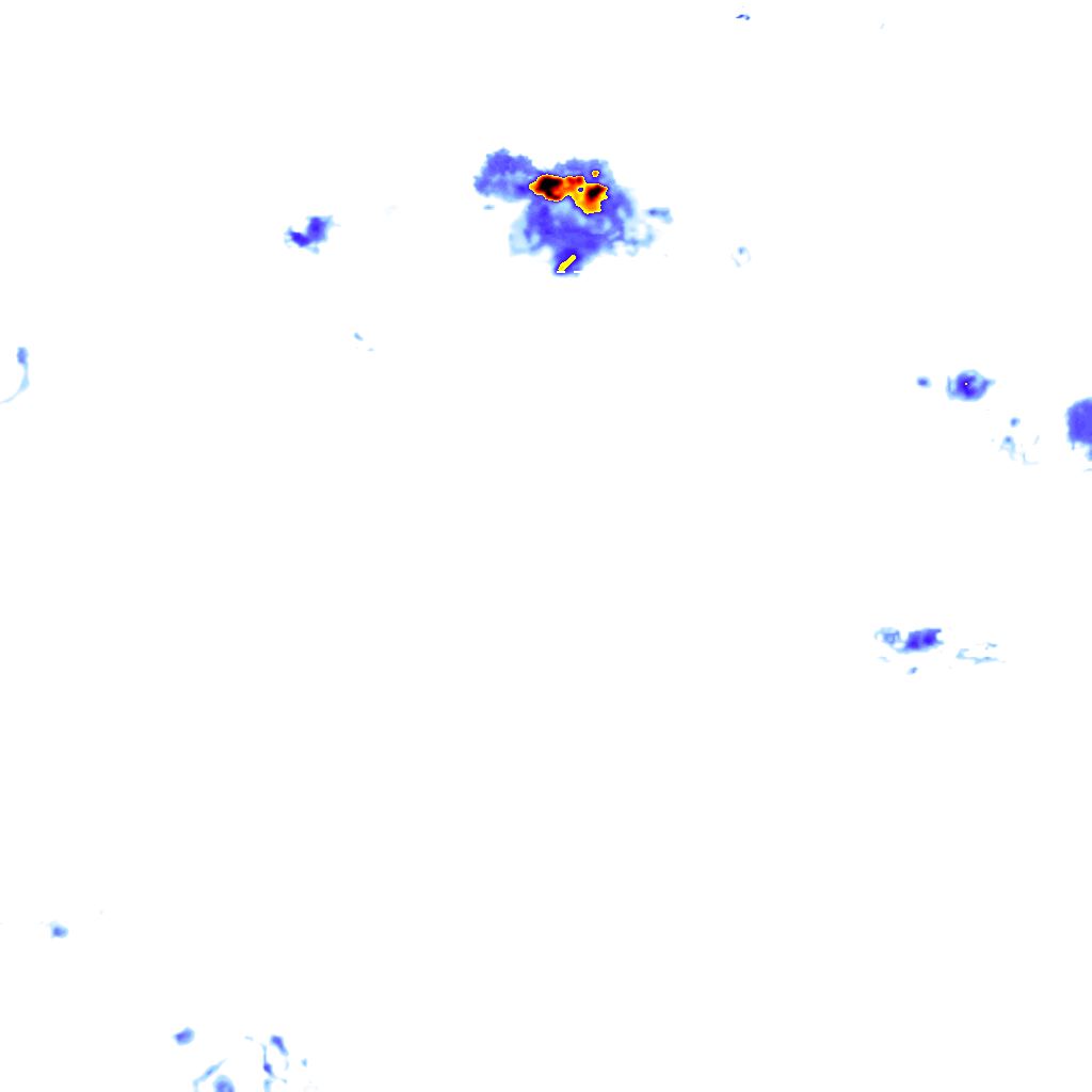 rainLayer