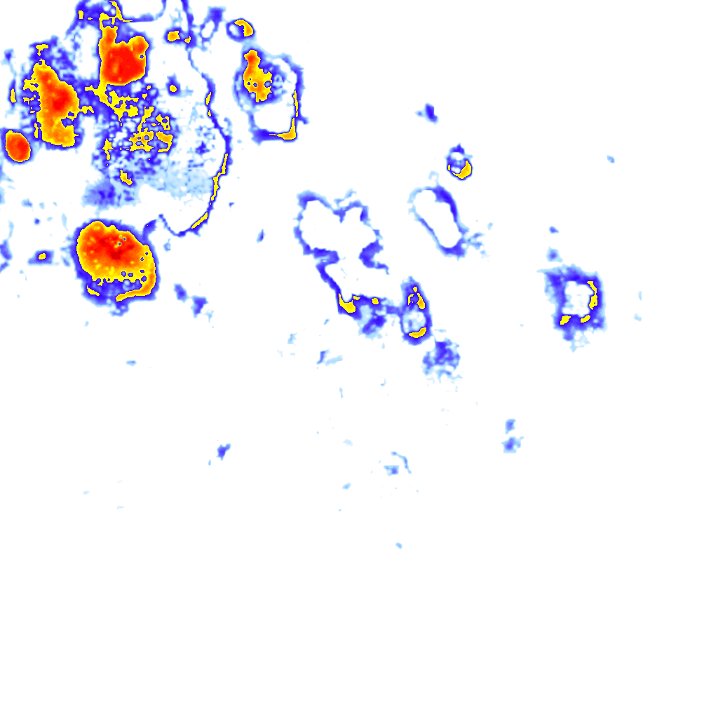 Image Layer