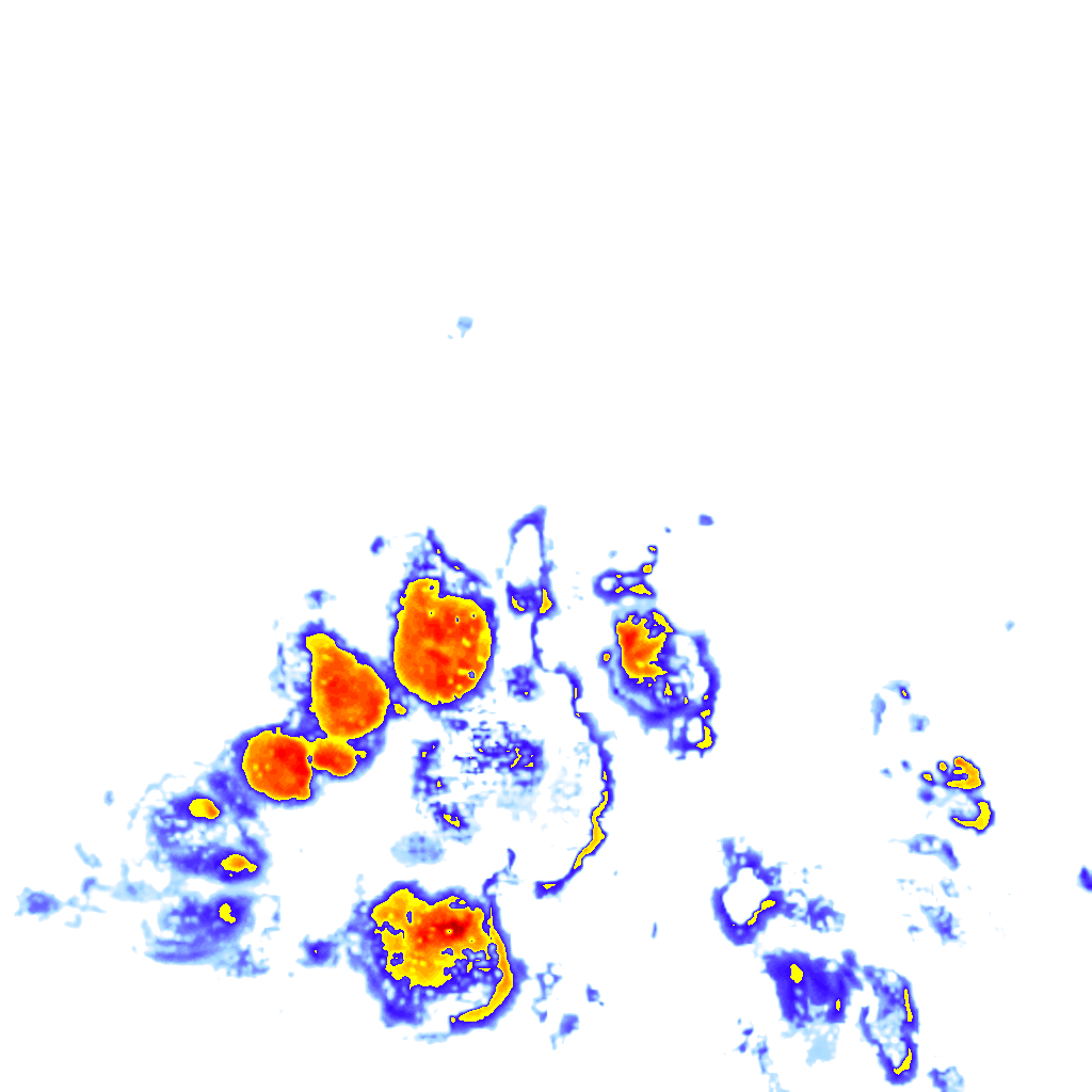 rainLayer