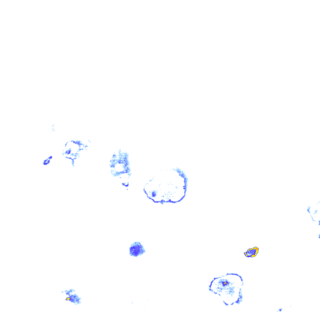 Image Layer