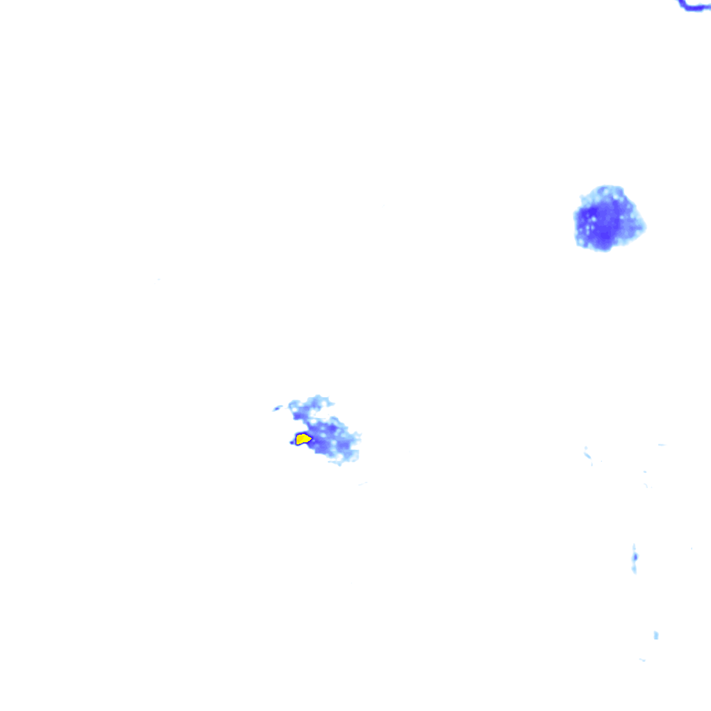 rainLayer