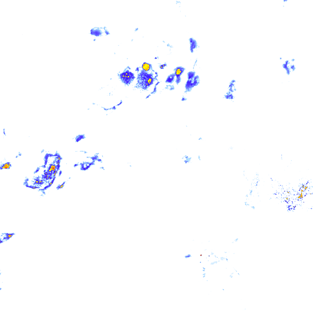 Image Layer