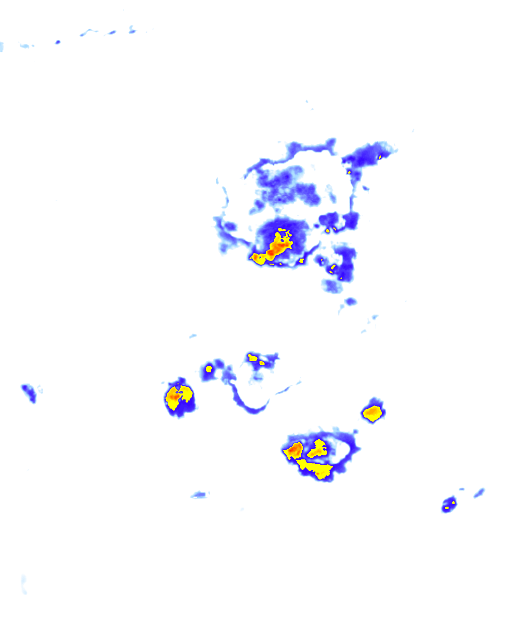 rainLayer
