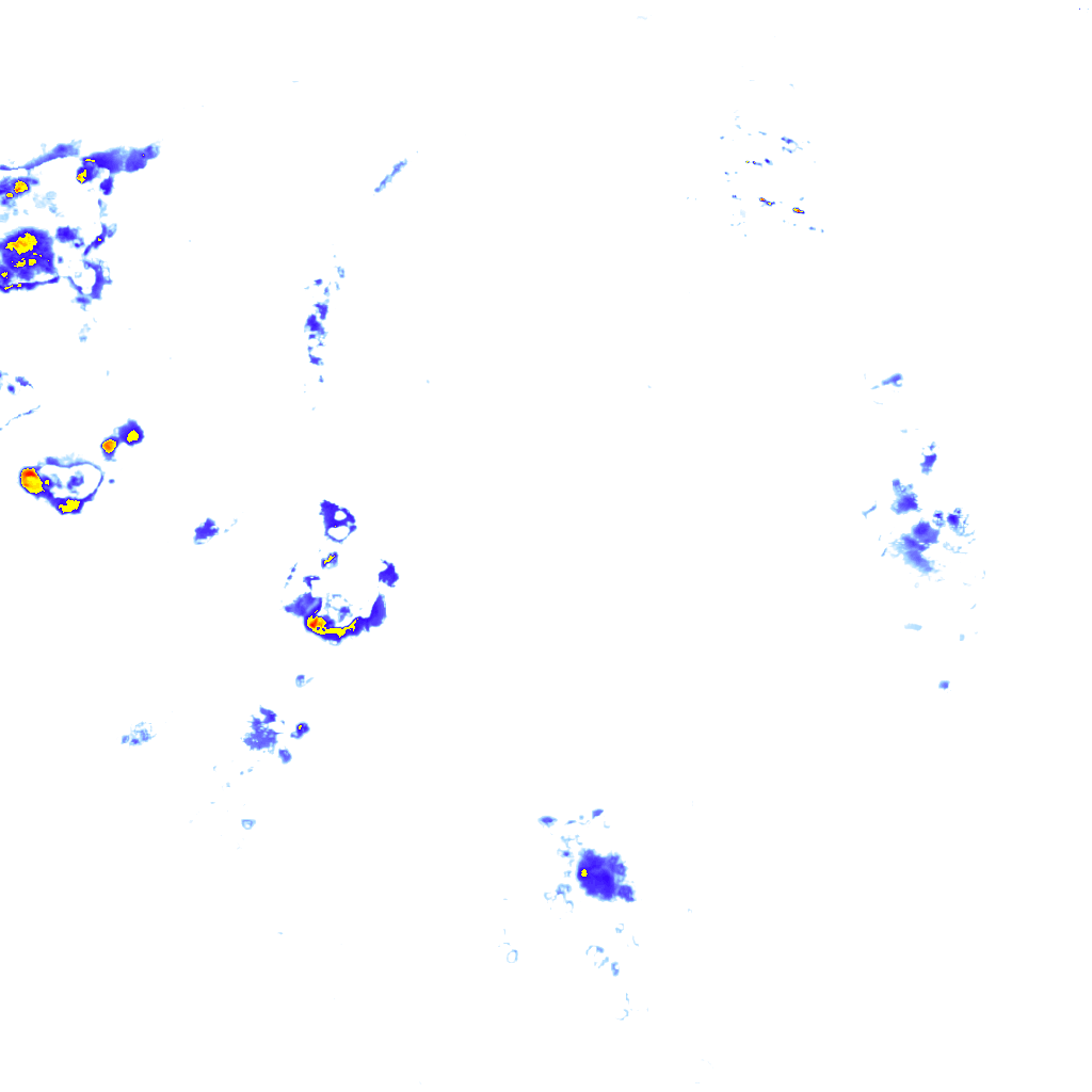 rainLayer