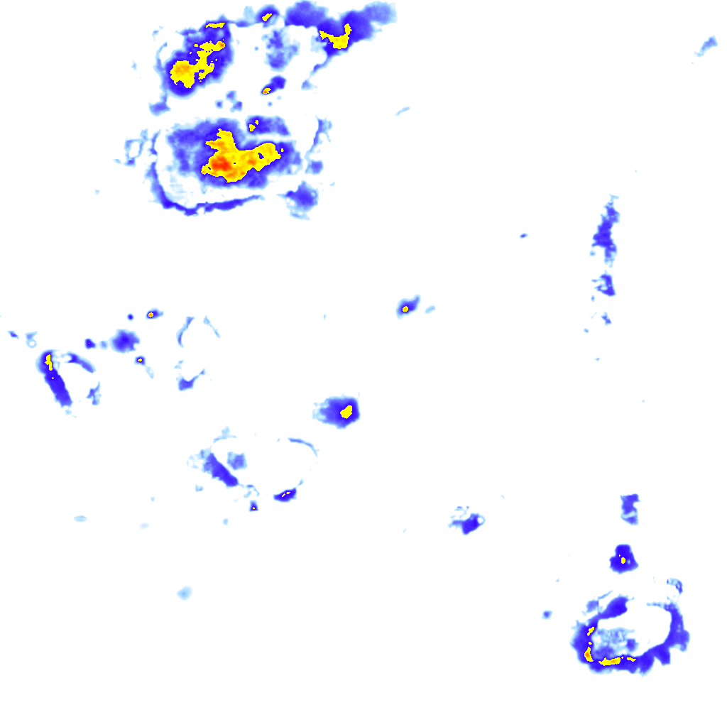 Image Layer