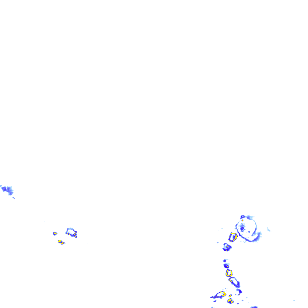 rainLayer