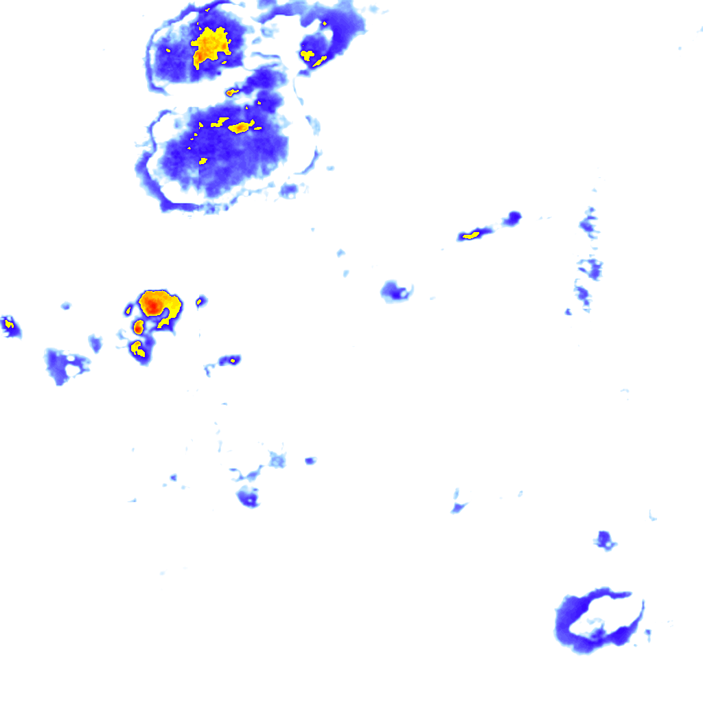 rainLayer