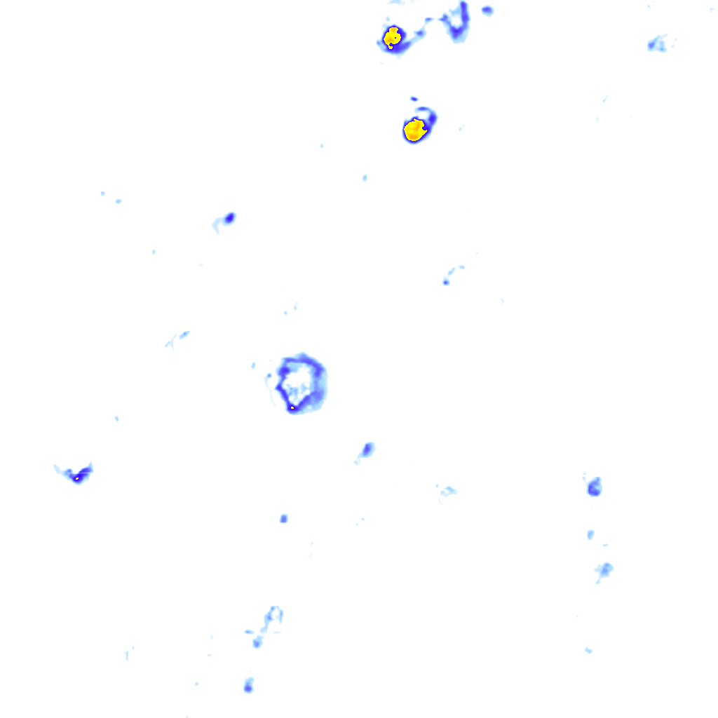 rainLayer
