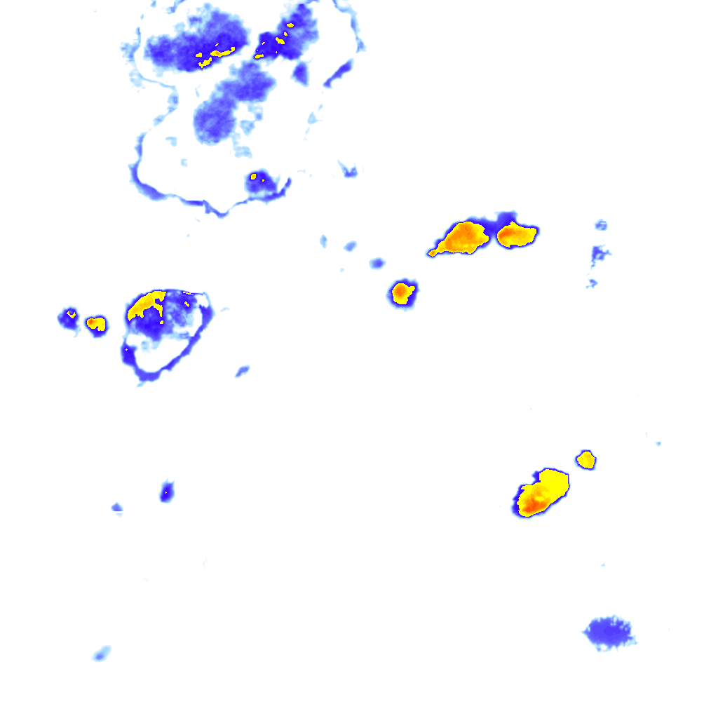 rainLayer