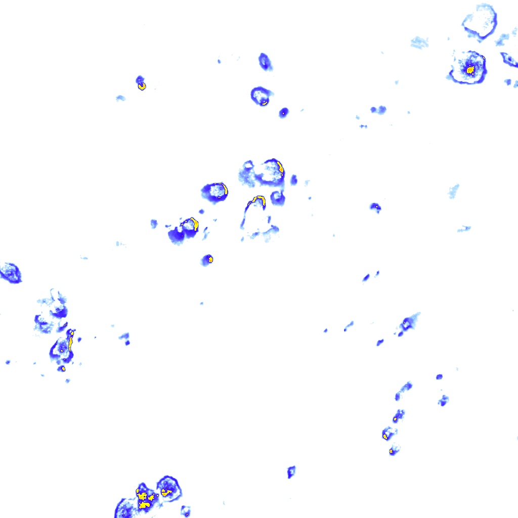 rainLayer