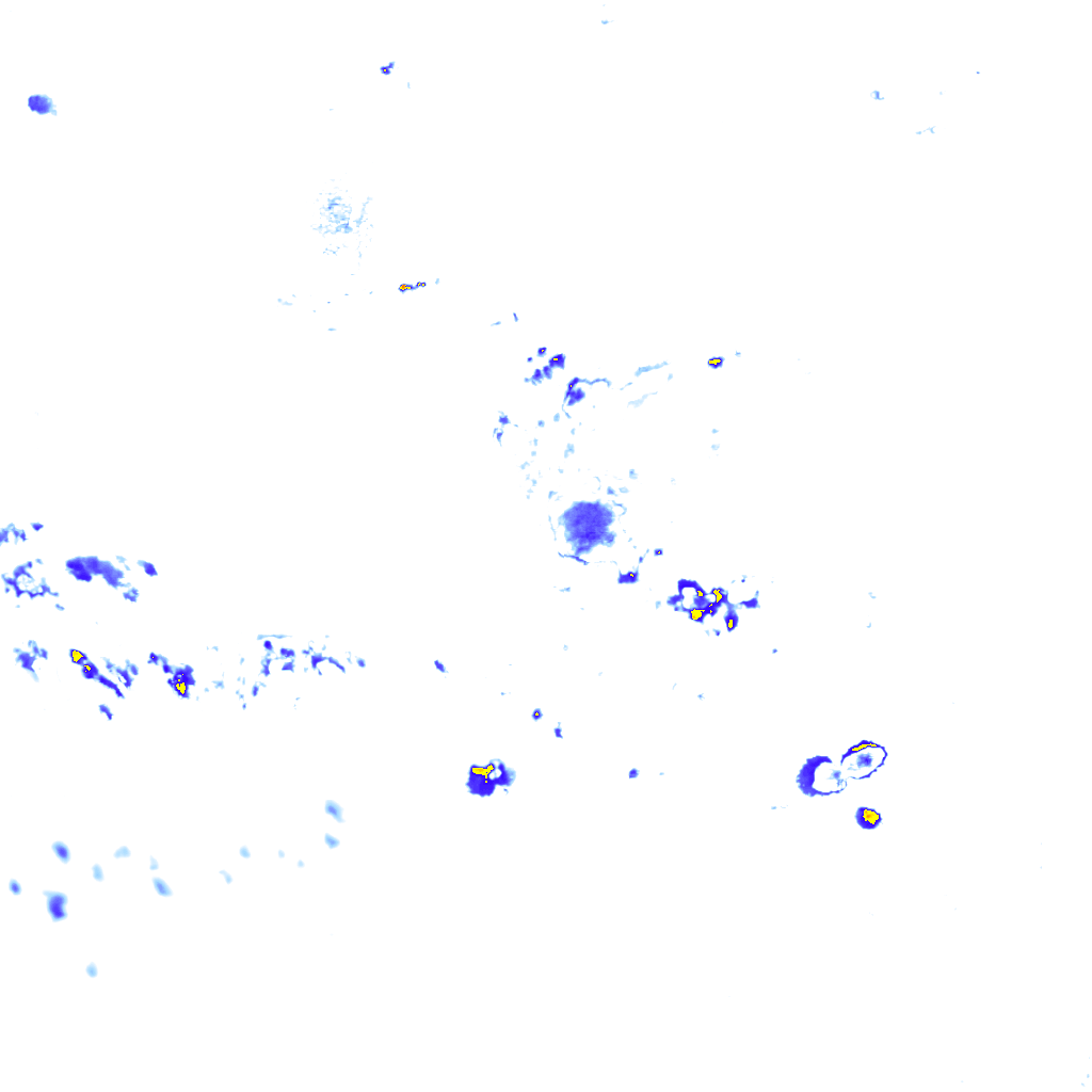 rainLayer