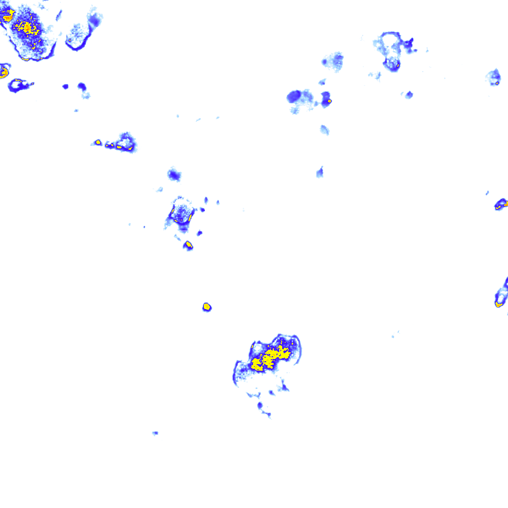 rainLayer