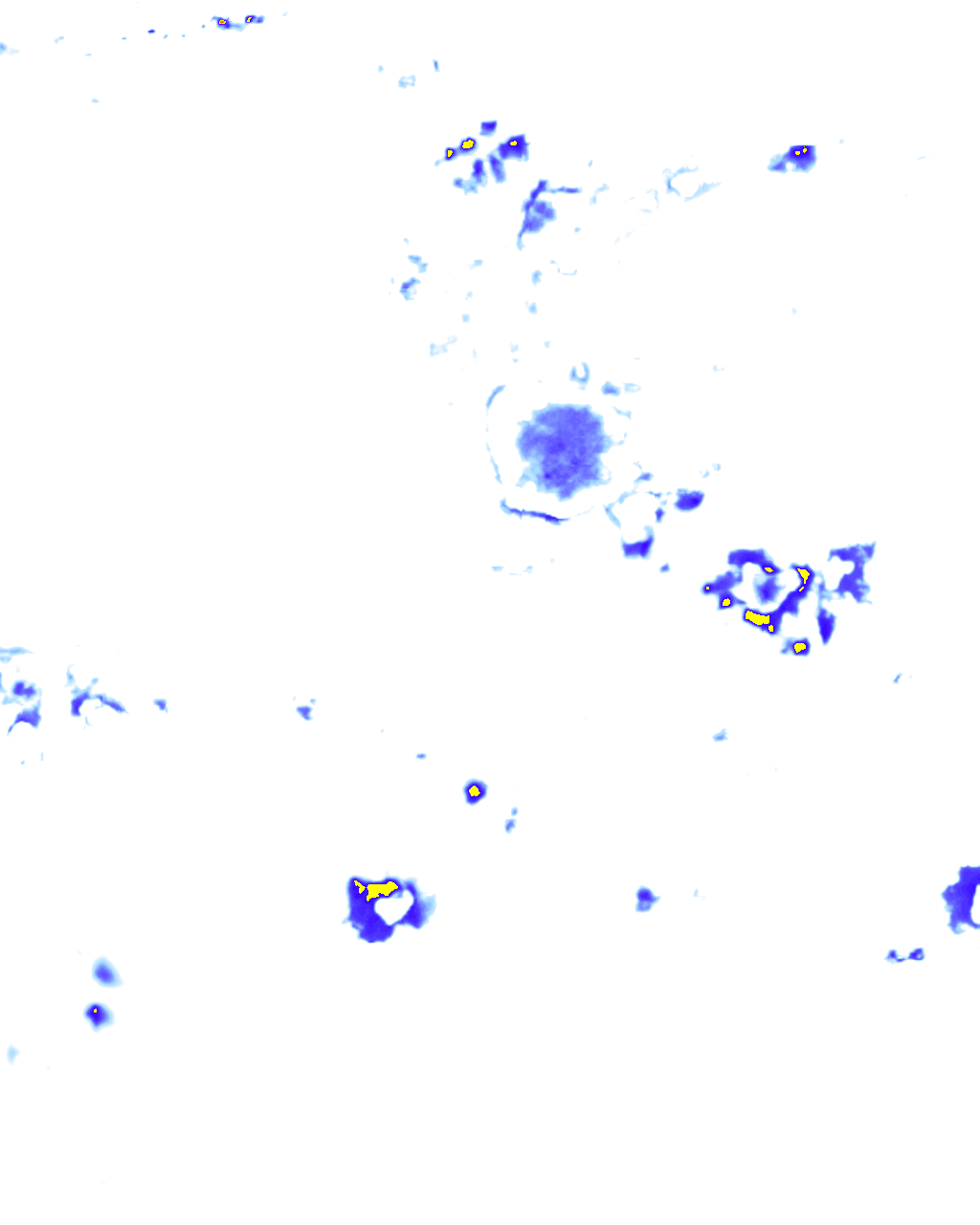 rainLayer