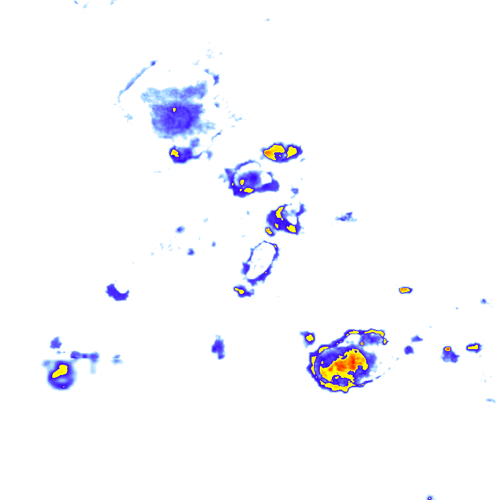 rainLayer