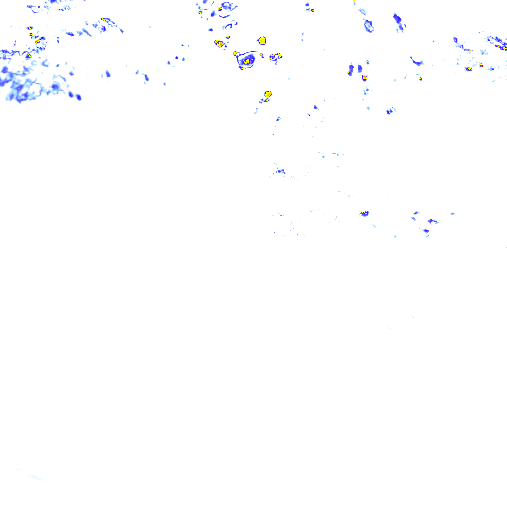 rainLayer