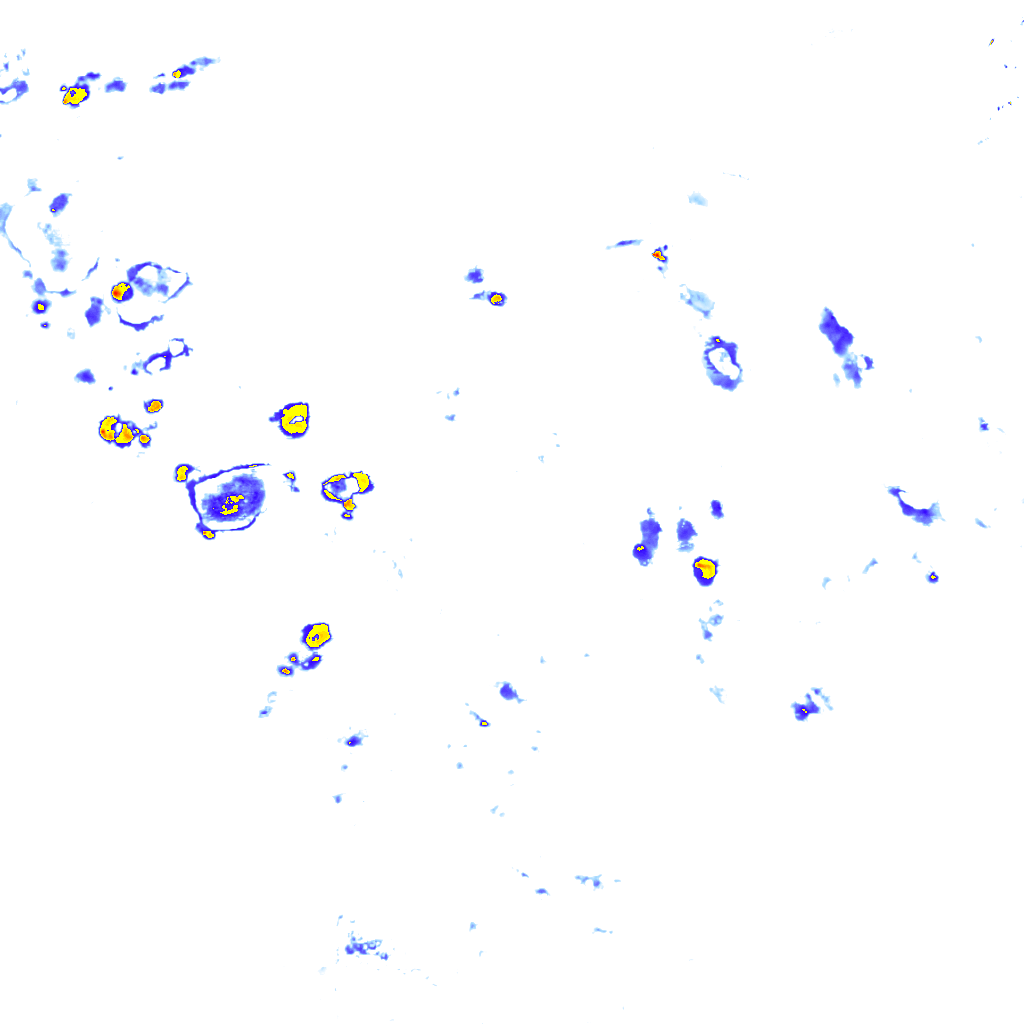Image Layer