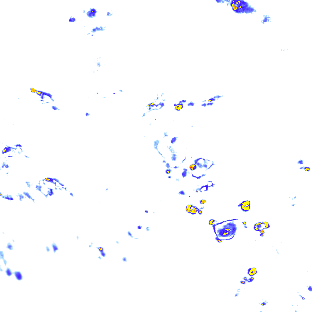 Image Layer